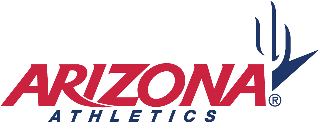 Arizona Wildcats 2003-2012 Wordmark Logo 04 vinyl decal